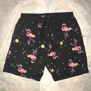 Brooklyn Clothing Volley 🩳 Swim Trunks